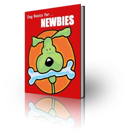 Dog Basics for Newbies